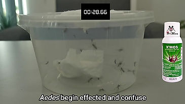 X'Mos mosquito repellent demonstation video 產品效果片